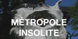 Métropole insolite