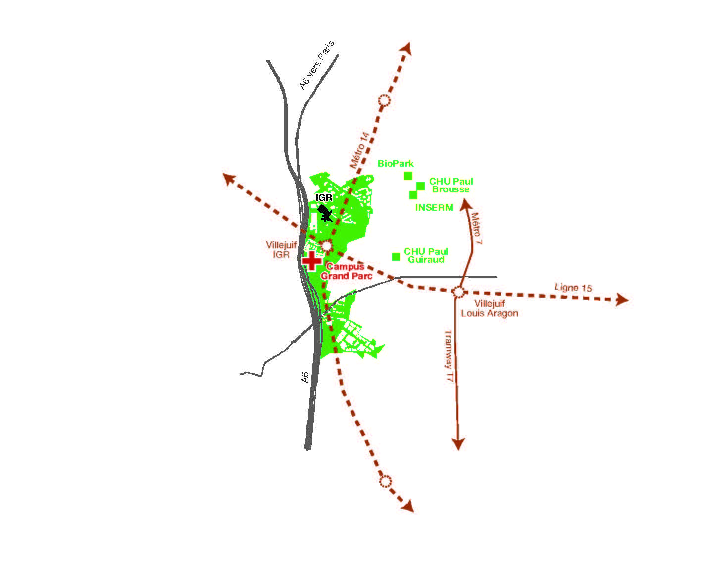 Schéma situation métabolique