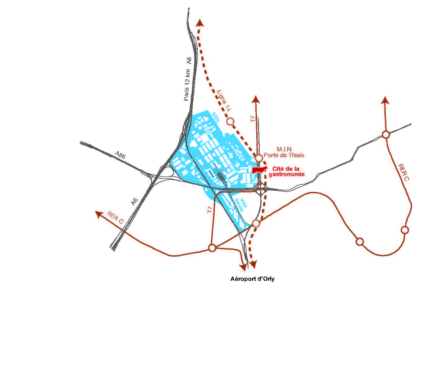 Schéma situation métabolique