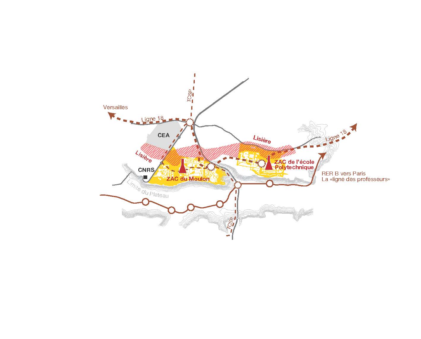 Schéma situation métabolique