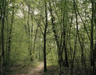 © Mark Power / Magnum Photos pour l'Atelier International du Grand Paris © Mark Power / Magnum Photos pour l'Atelier International du Grand Paris