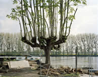 © Mark Power / Magnum Photos pour l'Atelier International du Grand Paris © Mark Power / Magnum Photos pour l'Atelier International du Grand Paris