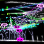 Workshop de l’Ecole d’Architecture de Sydney à l’AIGP