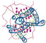 Le logement, une "bombe à retardement' - SEURA ARCHITECTES / DAVID MANGIN